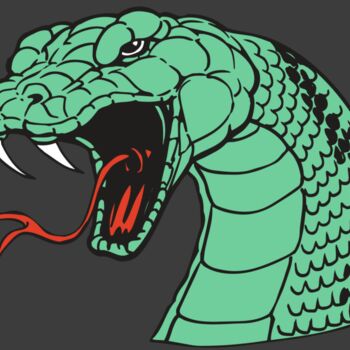 AR SNAKE 10 RC Thumbnail