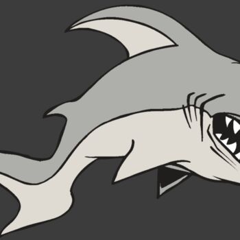 AR5 Shark 10 RQC Thumbnail