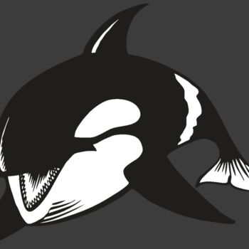 BAW KLRWHALE 04 RC Thumbnail