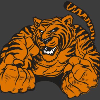 AR TIGER 55 RC Thumbnail