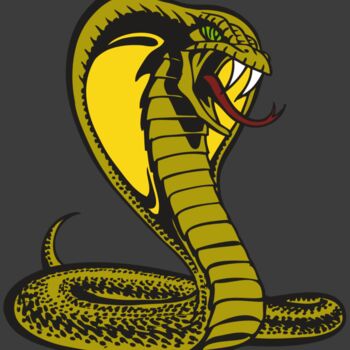 BAW SNAKE 02 RC Thumbnail