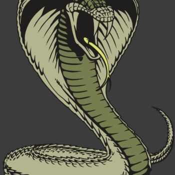 BAW SNAKE 07 RC Thumbnail