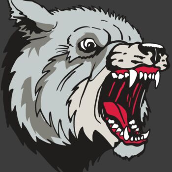 AR WOLF 38 RC Thumbnail