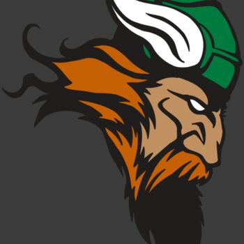 AR VIKING 07 RC Thumbnail