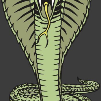 BAW SNAKE 15 RC Thumbnail