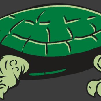 AR32 TURTLE 01 RQC Thumbnail