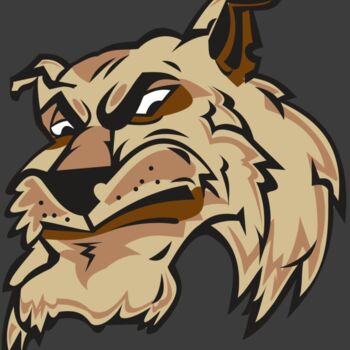 WILDCAT HD0501 RQC Thumbnail