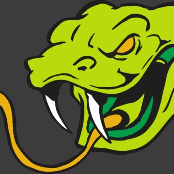 AR SNAKE 11 RC Thumbnail