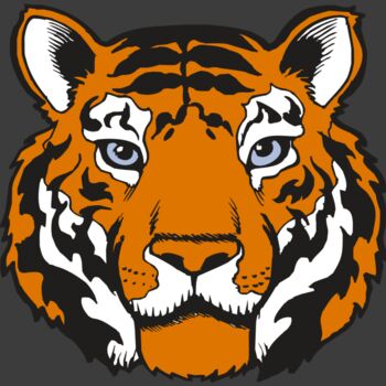 BAW TIGER 02 RC Thumbnail