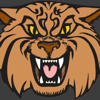 BAW WILDCAT 04 RC Thumbnail