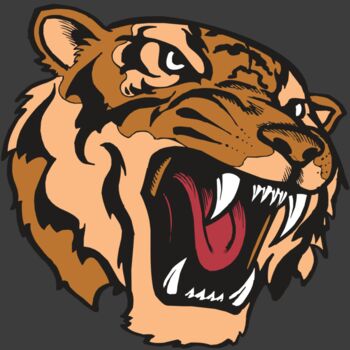 BAW TIGER 07 RC Thumbnail