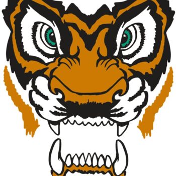 AR TIGER 11 RC Thumbnail