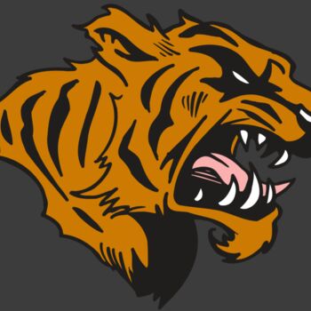 AR5 TIGER 08 RQC Thumbnail