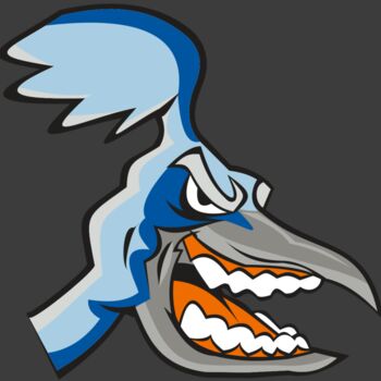 ROADRUNNER HD0504 RQC Thumbnail