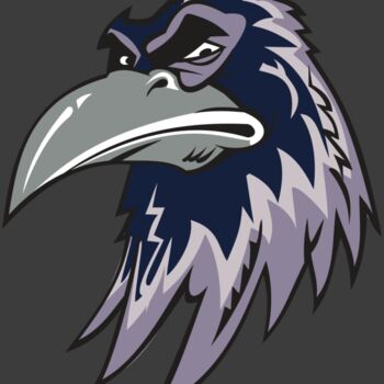 RAVEN HD0501 RQC Thumbnail