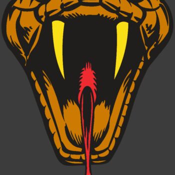 BAW SNAKE 05 RC Thumbnail