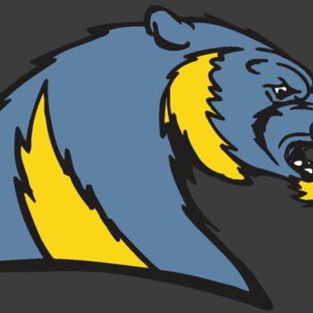 AR5 Wolverine 20 RQC Thumbnail