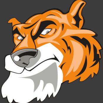 TIGER HD0501 RQC Thumbnail