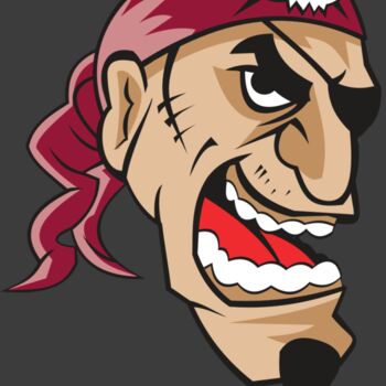 PIRATE HD0501 RQC Thumbnail