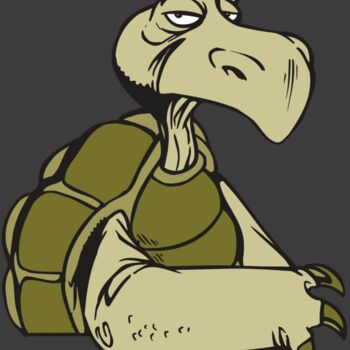 AR5 Turtle 01 RQC Thumbnail