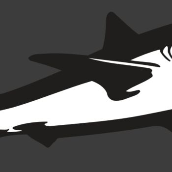 AR5 Shark 15 RQC Thumbnail