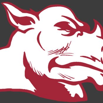 AR5 Rhino 15 RQC Thumbnail