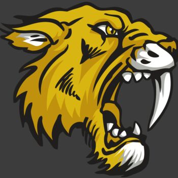 AR30 SABER 03 RQC Thumbnail