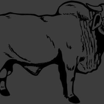 COW015 Thumbnail