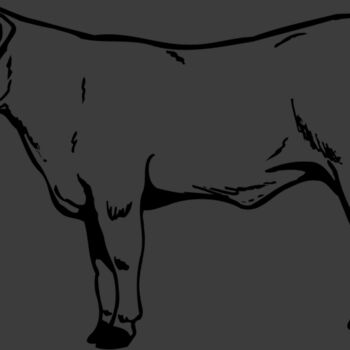COW017 Thumbnail