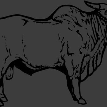 COW018 Thumbnail