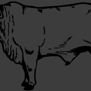 COW022 Thumbnail