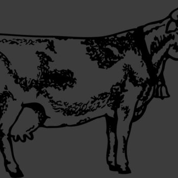 COW031 Thumbnail