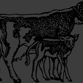 COW032 Thumbnail