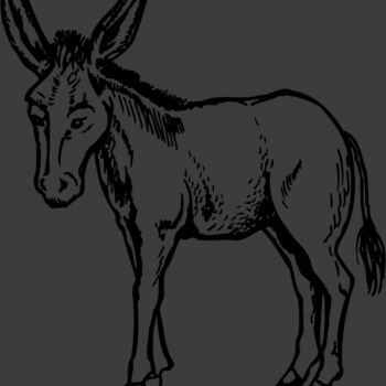BURRO001 Thumbnail