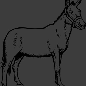 BURRO002 Thumbnail