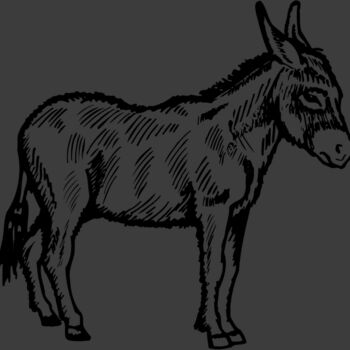 BURRO005 Thumbnail