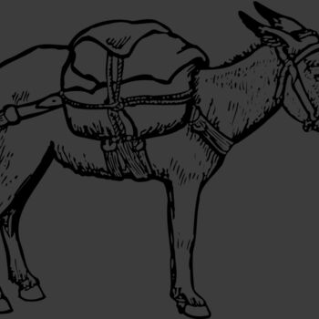 BURRO012 Thumbnail