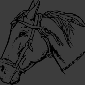 HORSE007 Thumbnail