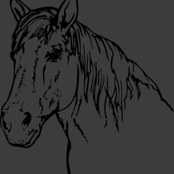 HORSE009 Thumbnail