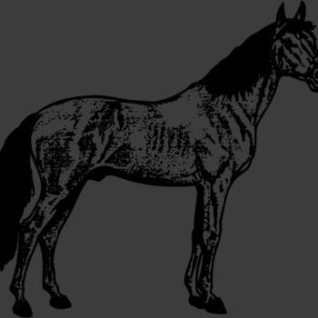 HORSE014 Thumbnail