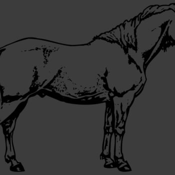 HORSE016 Thumbnail