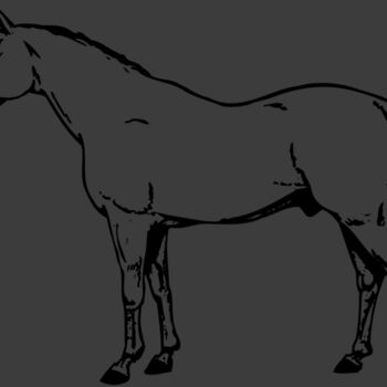 HORSE017 Thumbnail