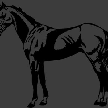 HORSE018 Thumbnail