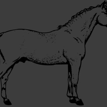 HORSE019 Thumbnail