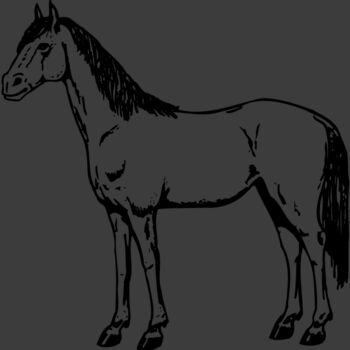 HORSE021 Thumbnail
