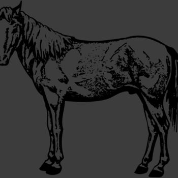 HORSE022 Thumbnail