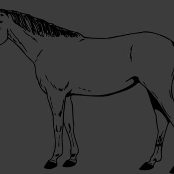 HORSE024 Thumbnail