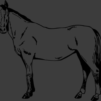 HORSE025 Thumbnail