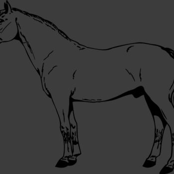 HORSE027 Thumbnail