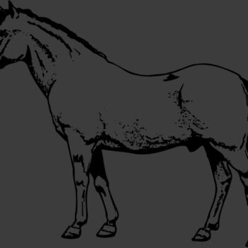 HORSE028 Thumbnail